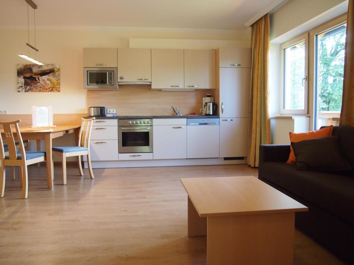 Appartements Wiesbach Ramsau am Dachstein Extérieur photo